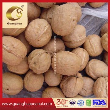 Hot Sales 2021 New Crop Walnut in Shell